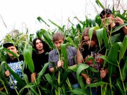 Descendants Of The Black Plague